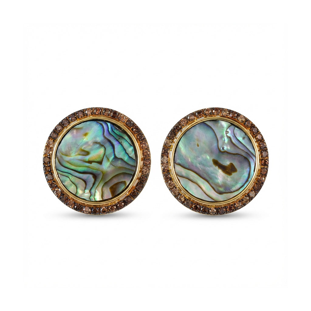 Luminous Abalone Shell Earrings