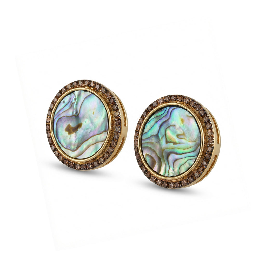 Luminous Abalone Shell Earrings